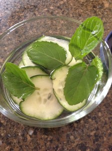 cucumber mint vodka